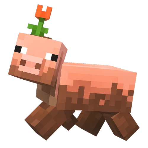 Server Specifications